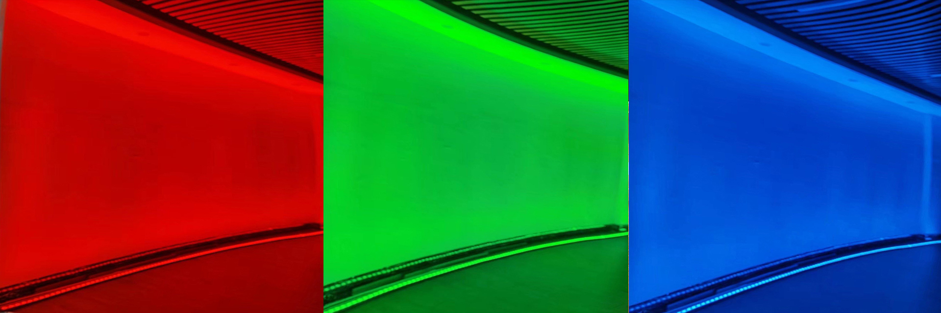 qualità IP68 LED Neon flessibile fabbrica