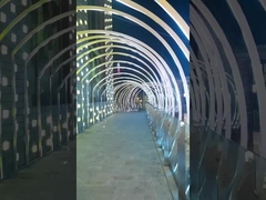 IP68 Neon Flex subacqueo 24V Materiali TPU Flessibile Strip Led Per uso in piscina