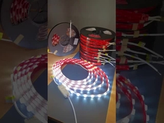 Lumi a striscia LED per esterni a 24 V impermeabile SMD2835 Striscia LED trasparente